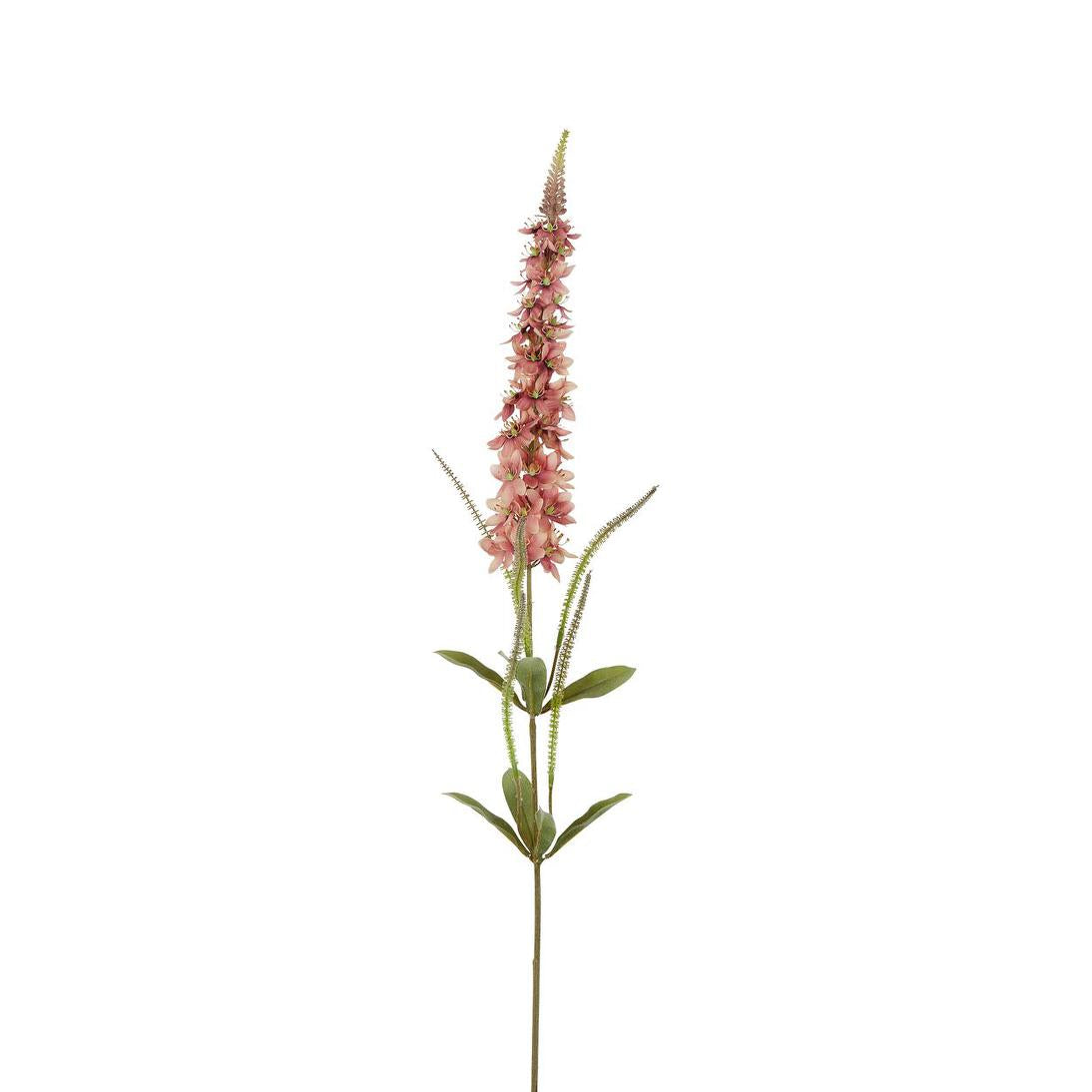 Veronica Speedwell Flower Stem 103cm Pink