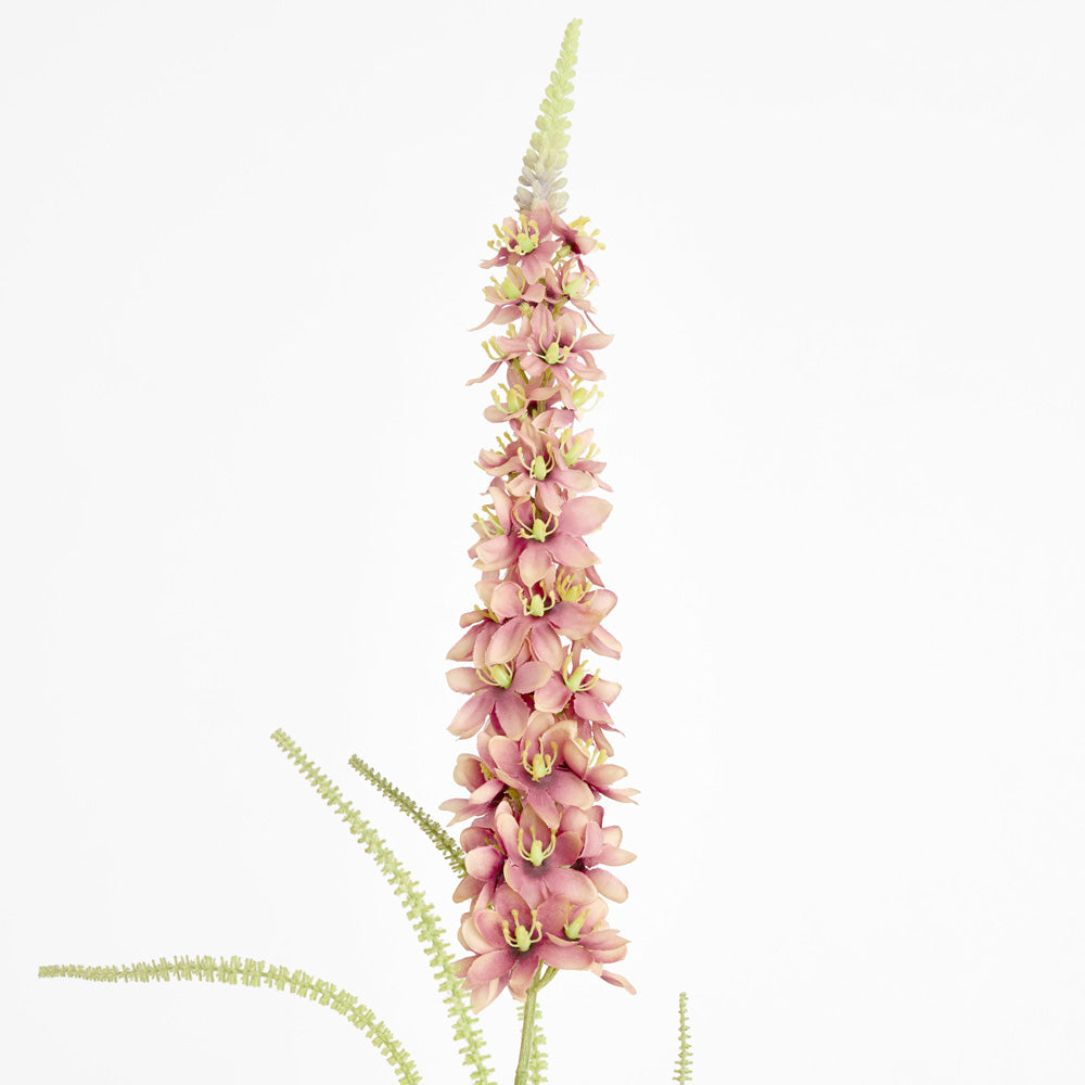 Veronica Speedwell Flower Stem 103cm Pink
