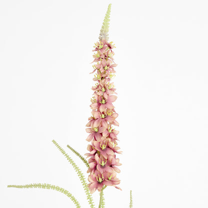 Veronica Speedwell Flower Stem 103cm Pink