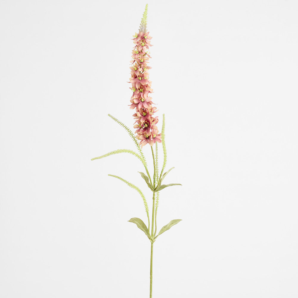 Veronica Speedwell Flower Stem 103cm Pink