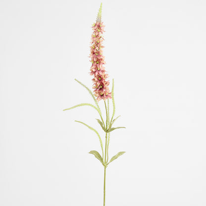 Veronica Speedwell Flower Stem 103cm Pink