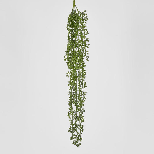 Real Touch Senecio Hanging Vine 73cm