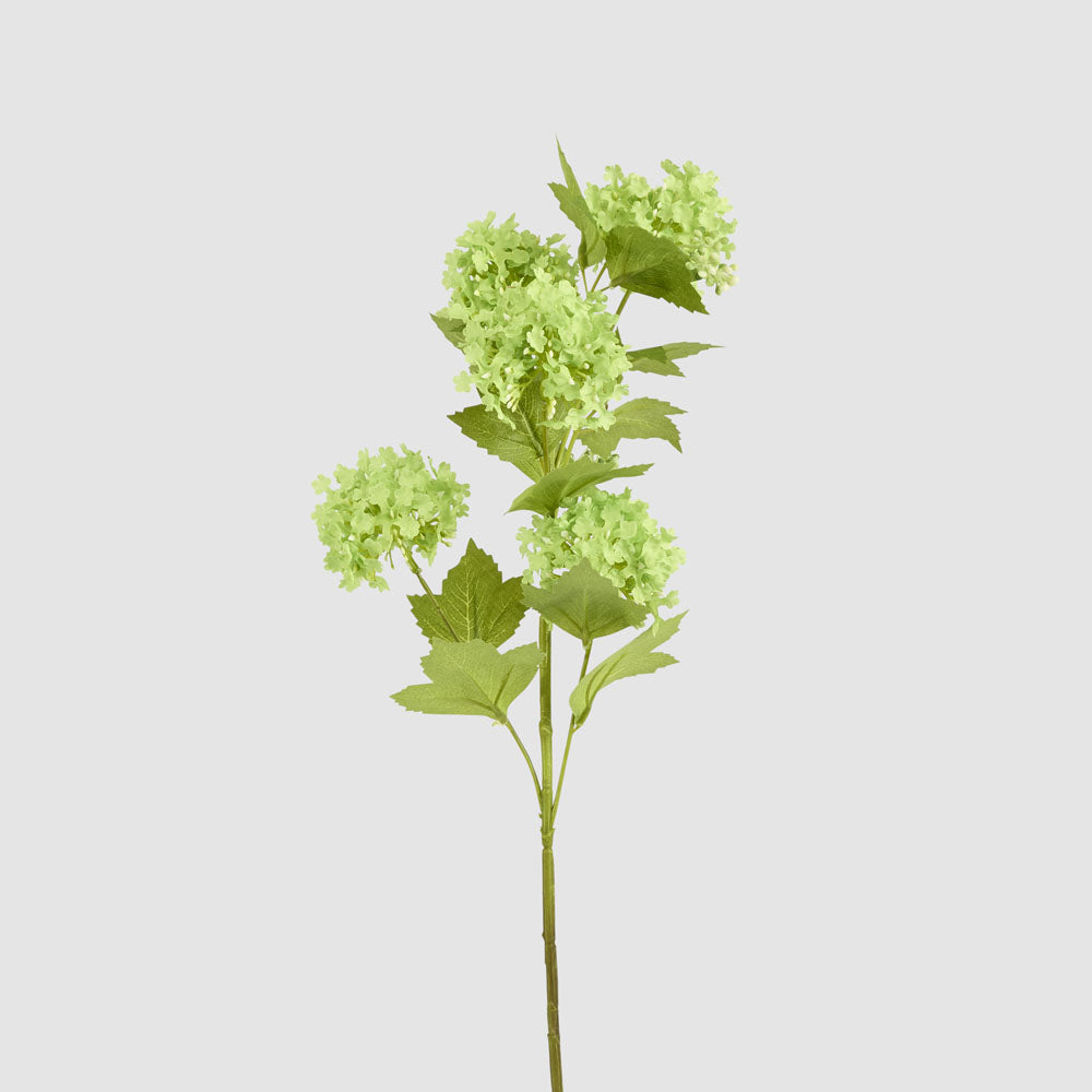 Snowball Spray Green