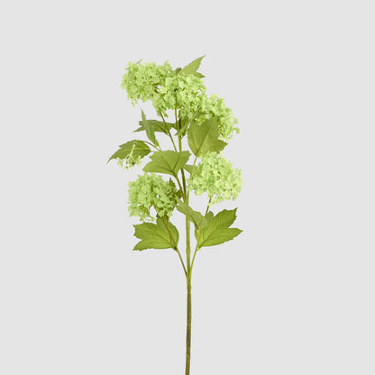 Snowball Spray Green