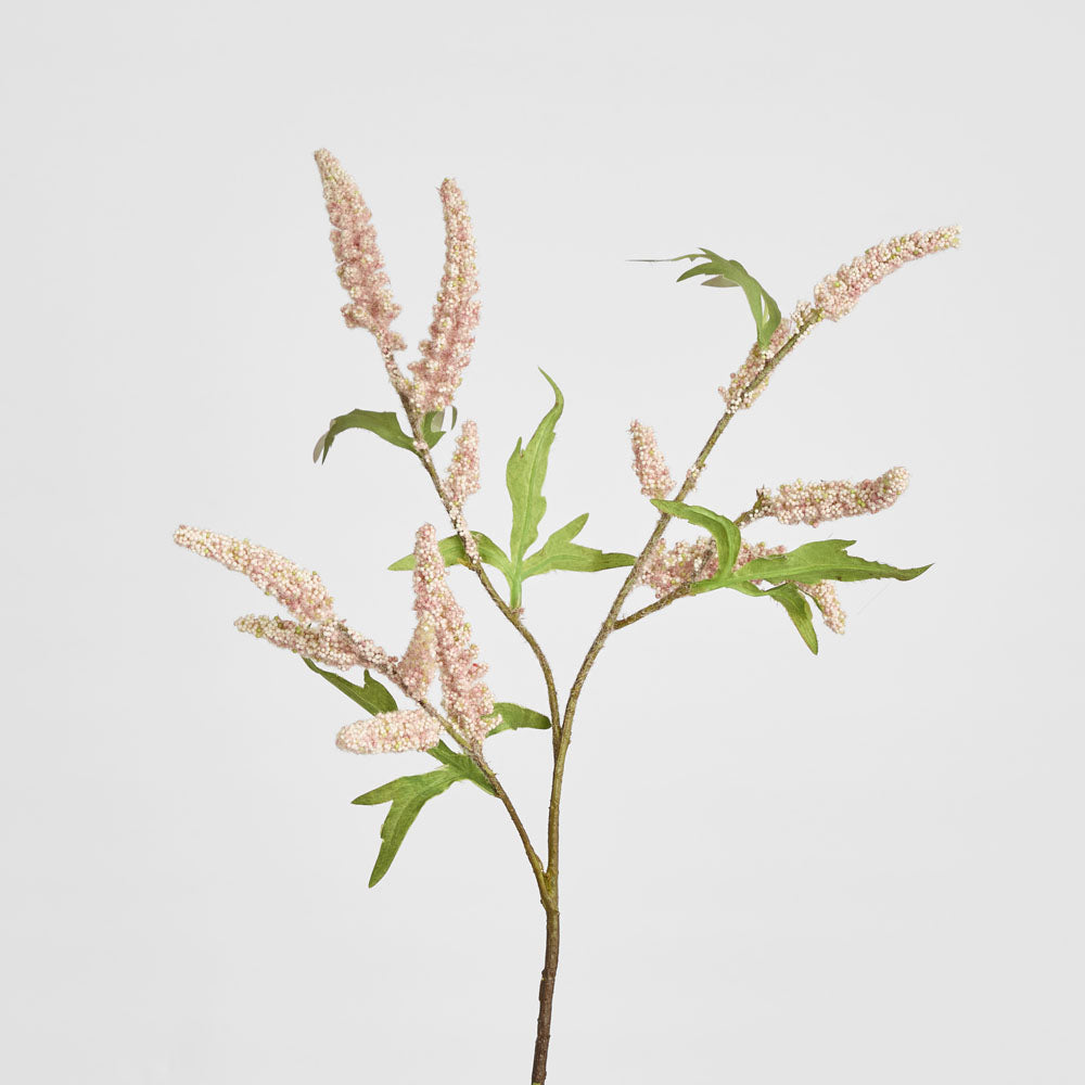Sage Stem 70cm Pink