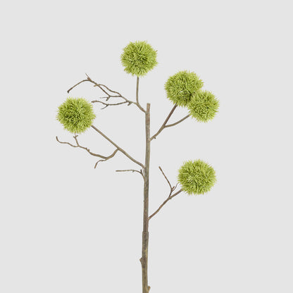 Thistle Globe Spray 80cm Green