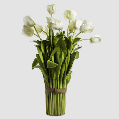 Tulip Bundle 72cm White