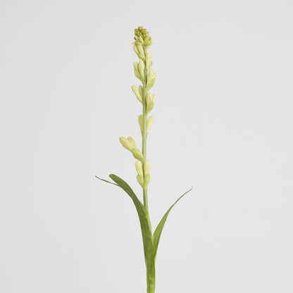 Tuberose Bud 80cm Cream & Green