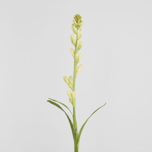 Tuberose Bud 80cm Cream & Green