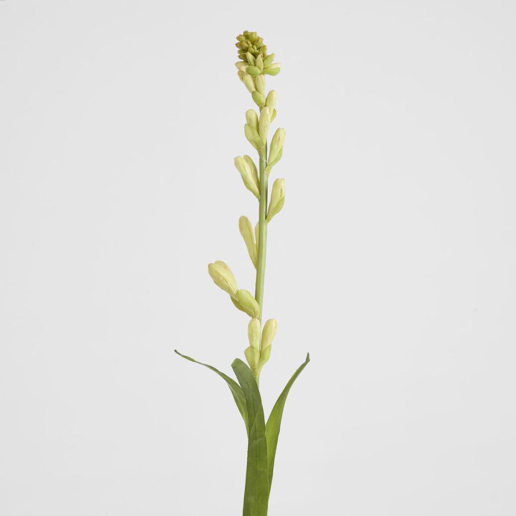 Tuberose Bud 80cm Cream & Green