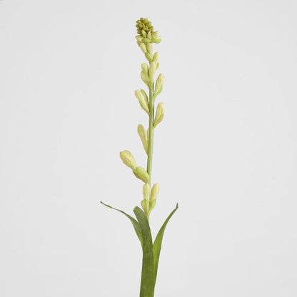 Tuberose Bud 80cm Cream & Green