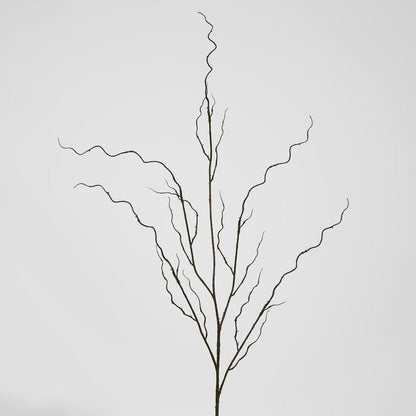 Curly Twig