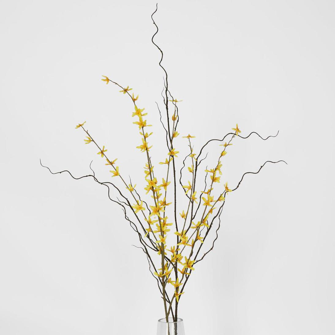 Curly Twig