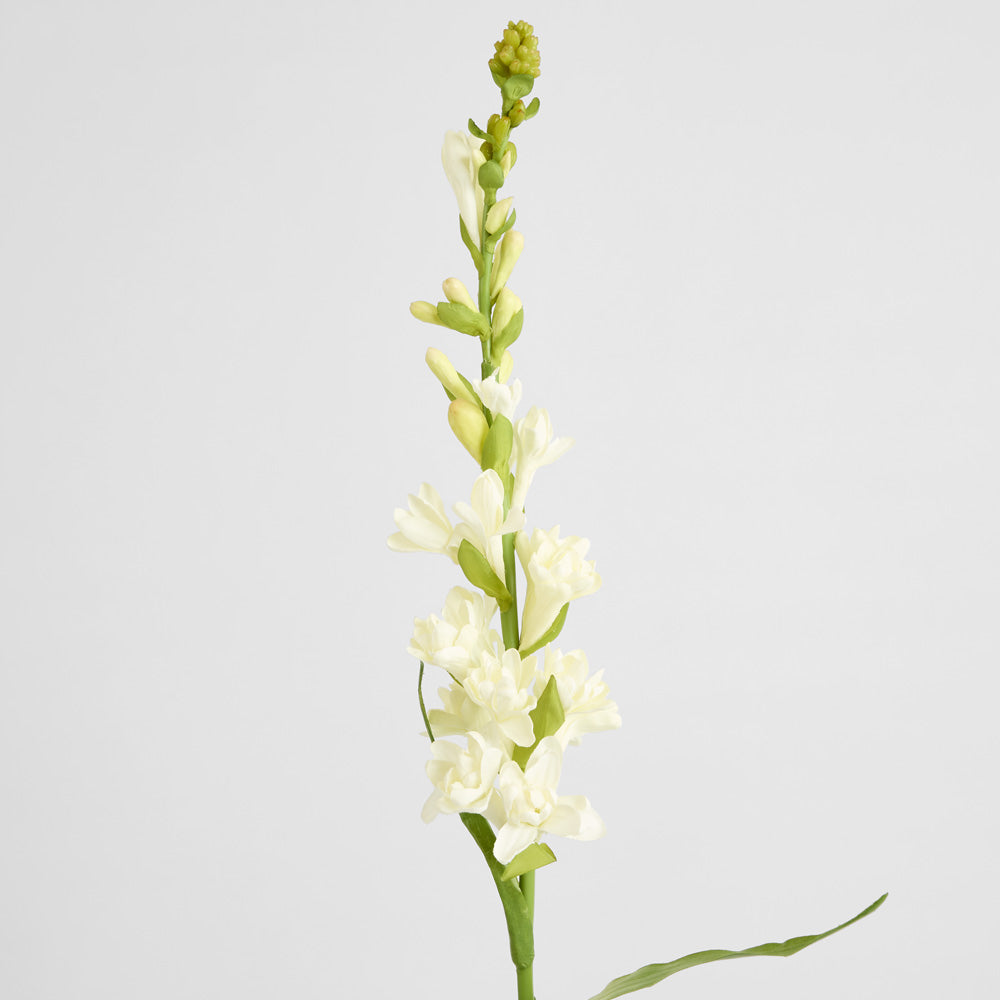 Tuberose Spray 80cm Cream