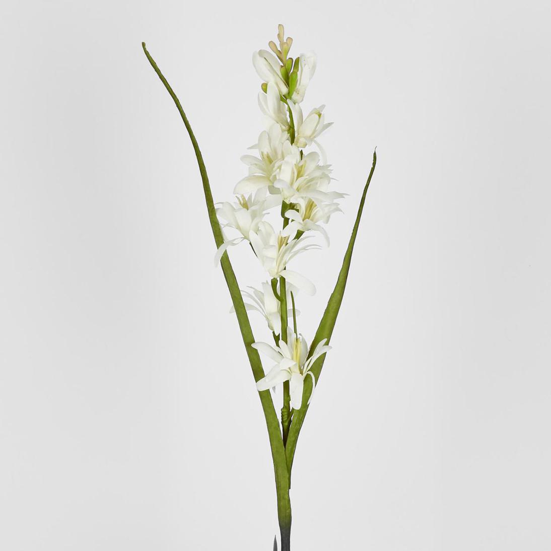 Tuberose 76cm – Florabelle Living
