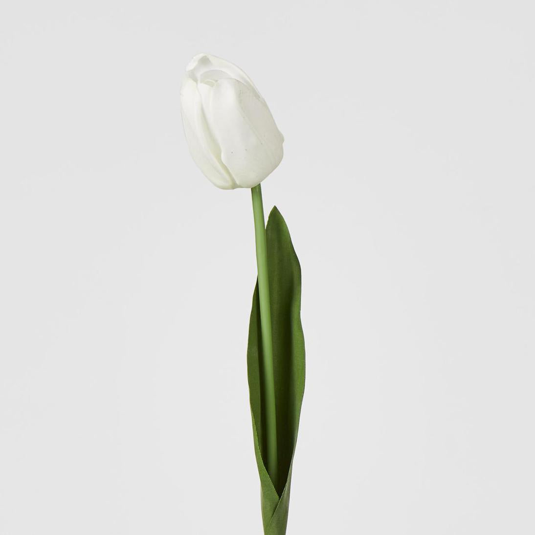 Liv Soft Touch Tulip White
45cm