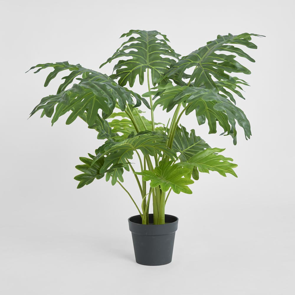 Split Philo 80cm