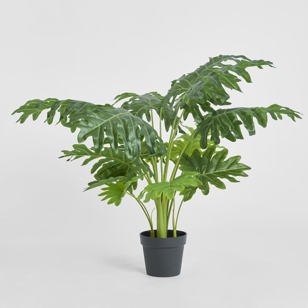 Split Philo 80cm