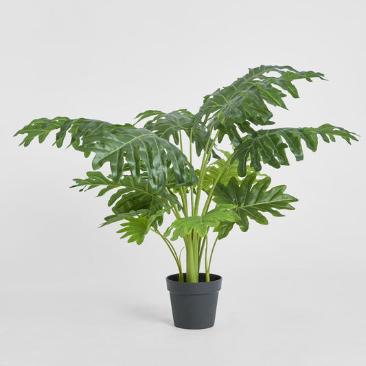 Split Philo 80cm