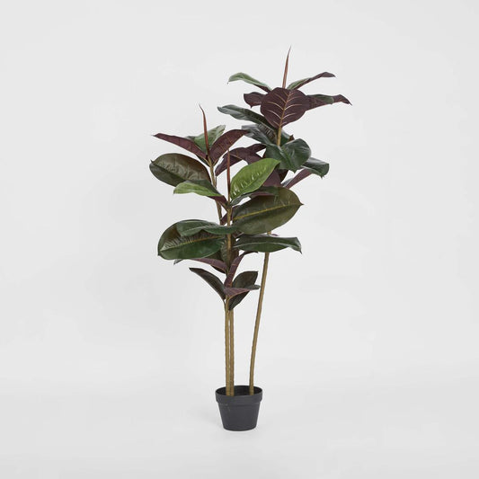 Rubber Tree Real Touch 1.45m