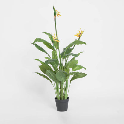 Flowering Bird of Paradise 150cm