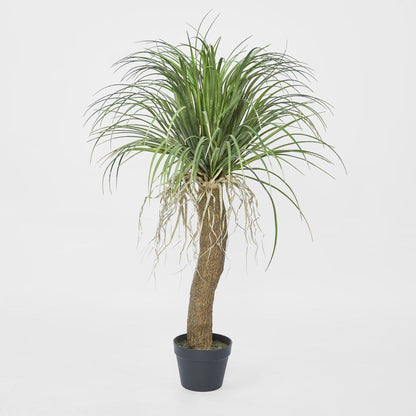 Grass Tree Small 1.1m