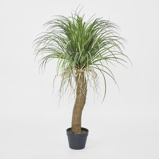Grass Tree Small 1.1m