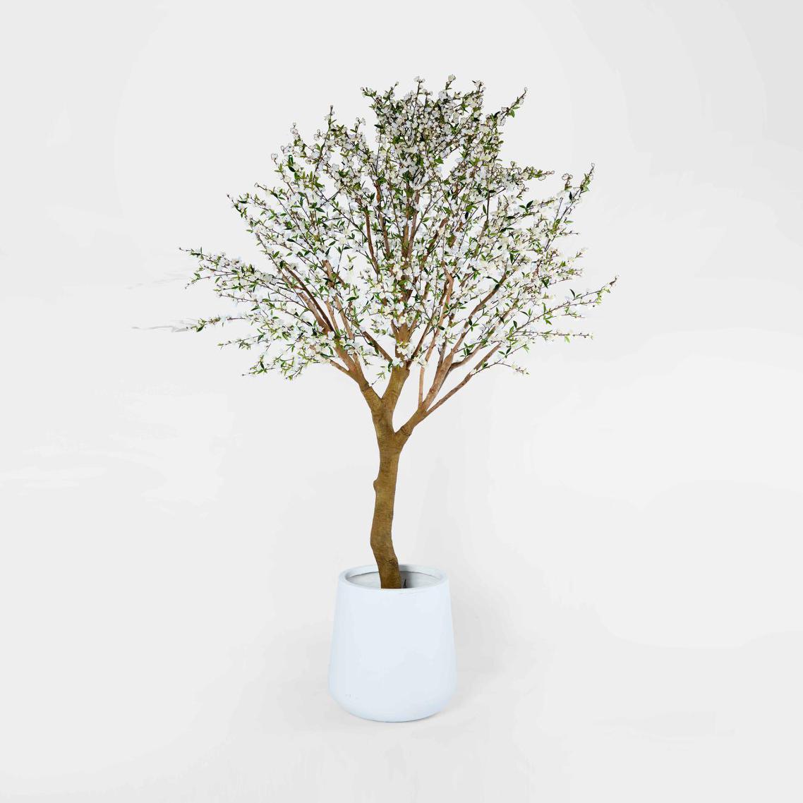 Giant Cherry Blossom Tree 2.4m White