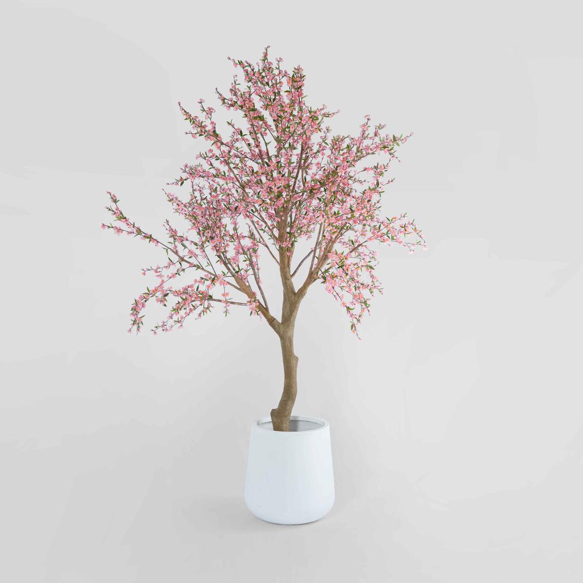 Giant Cherry Blossom Tree 2.4m