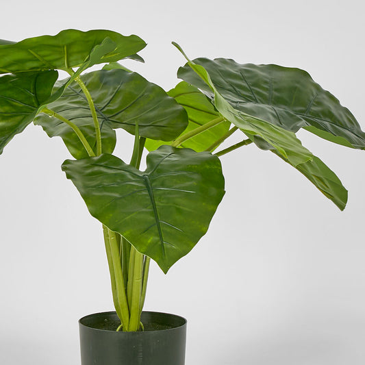 Potted Real Touch Philodendron 50cm