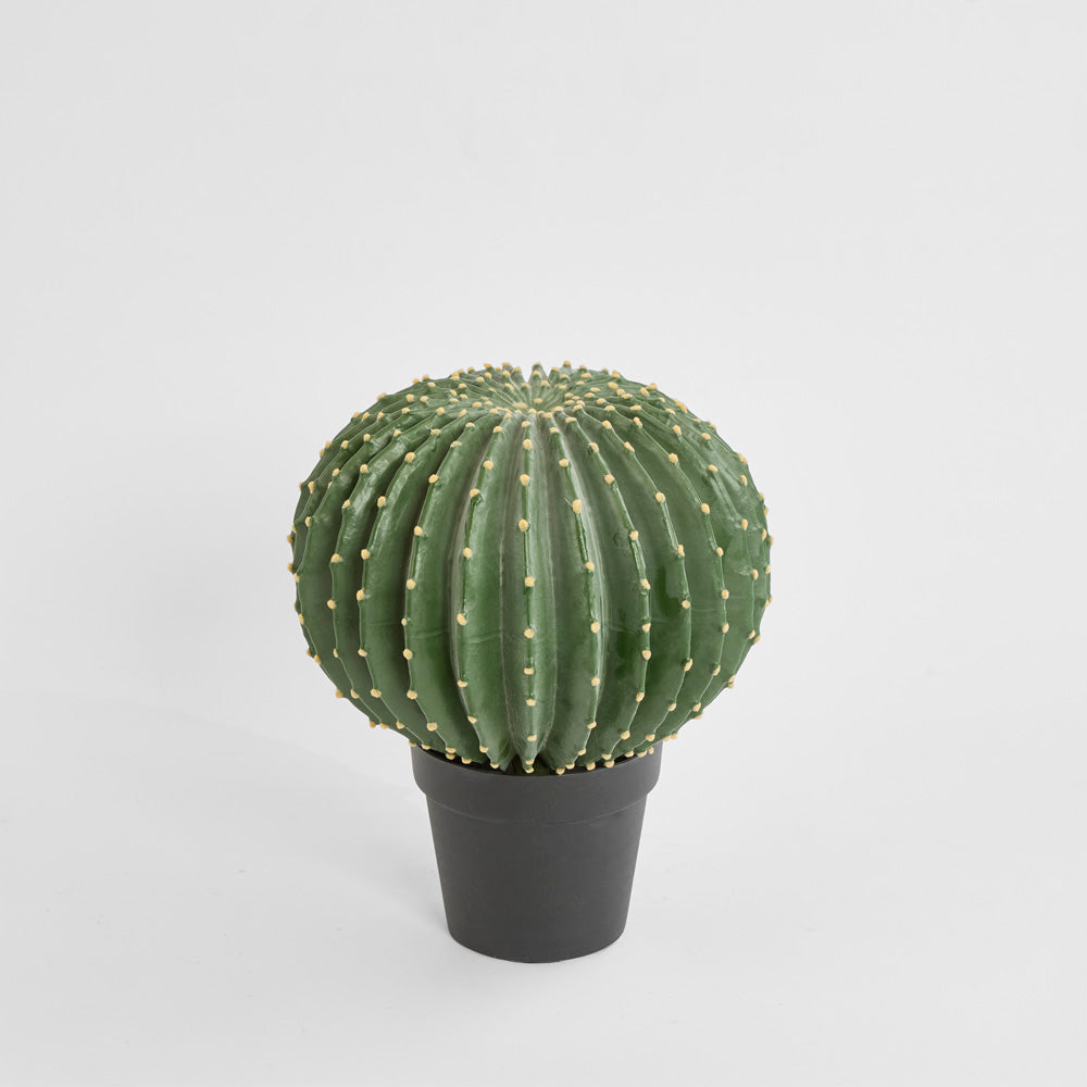 Cactus Barrel Large