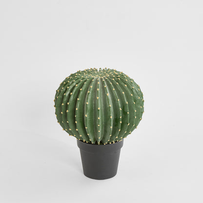 Cactus Barrel Large