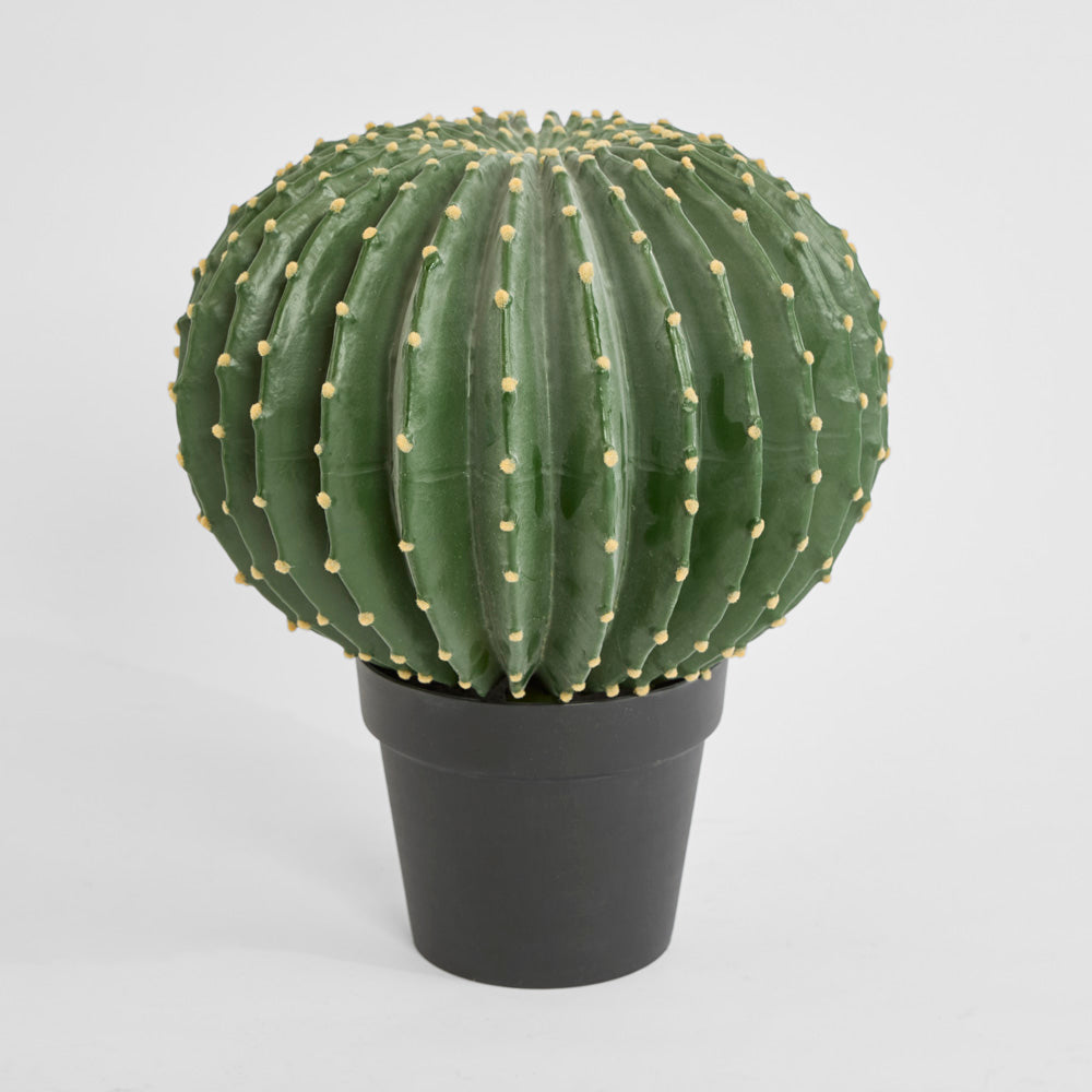 Cactus Barrel Large