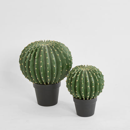 Cactus Barrel Large