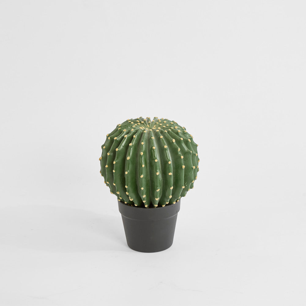 Cactus Barrel Small