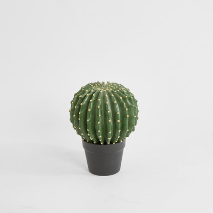 Cactus Barrel Small