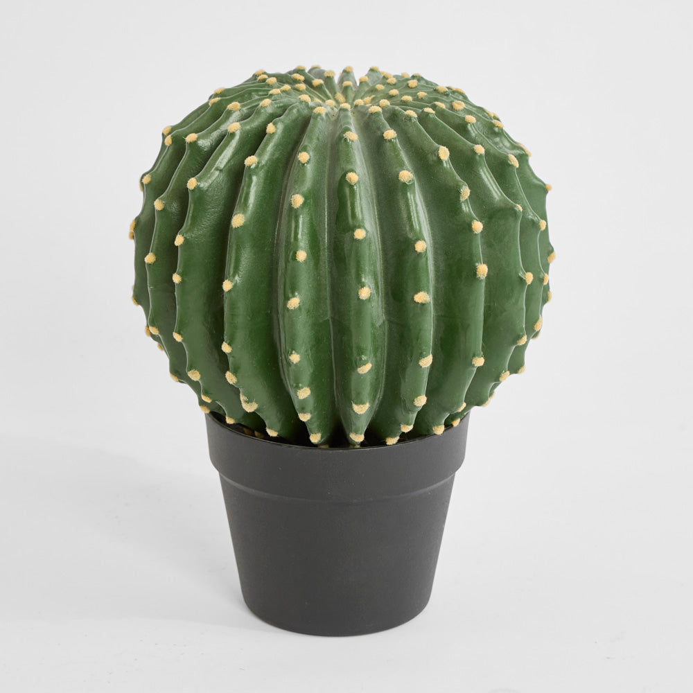 Cactus Barrel Small