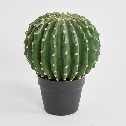 Cactus Barrel Small