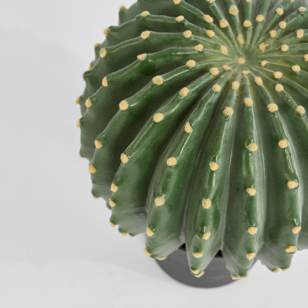 Cactus Barrel Small