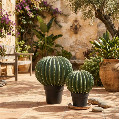 Cactus Barrel Small