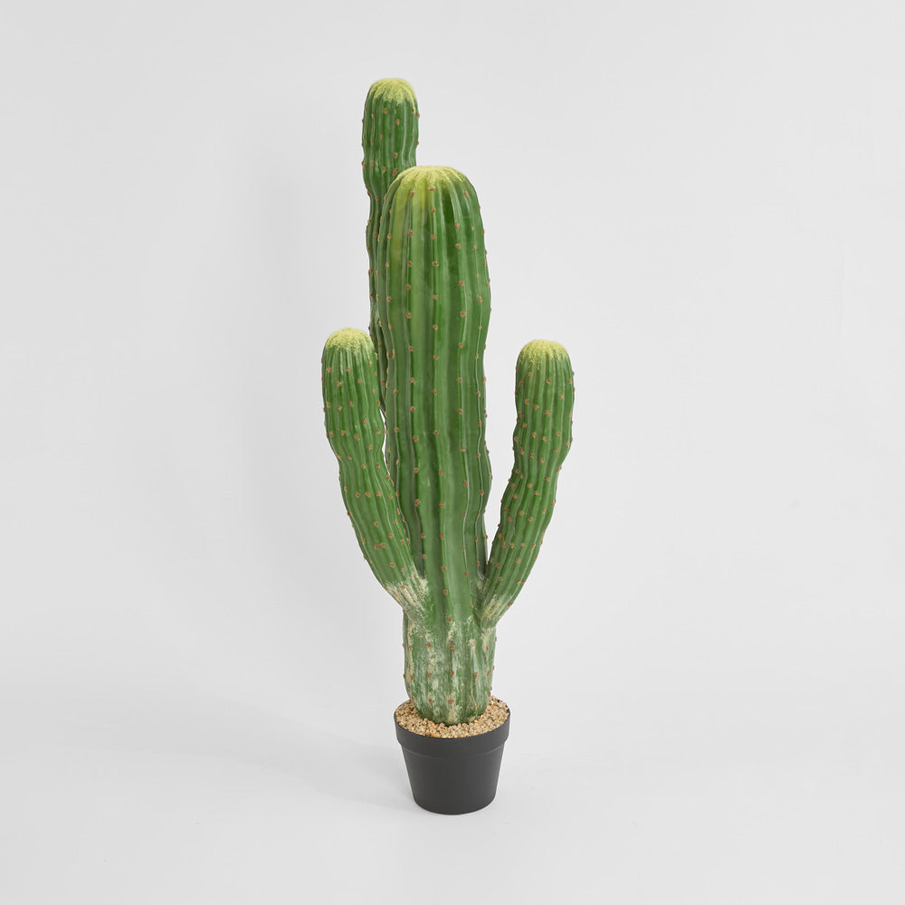 Cactus Saguaro Large