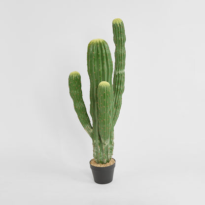 Cactus Saguaro Large