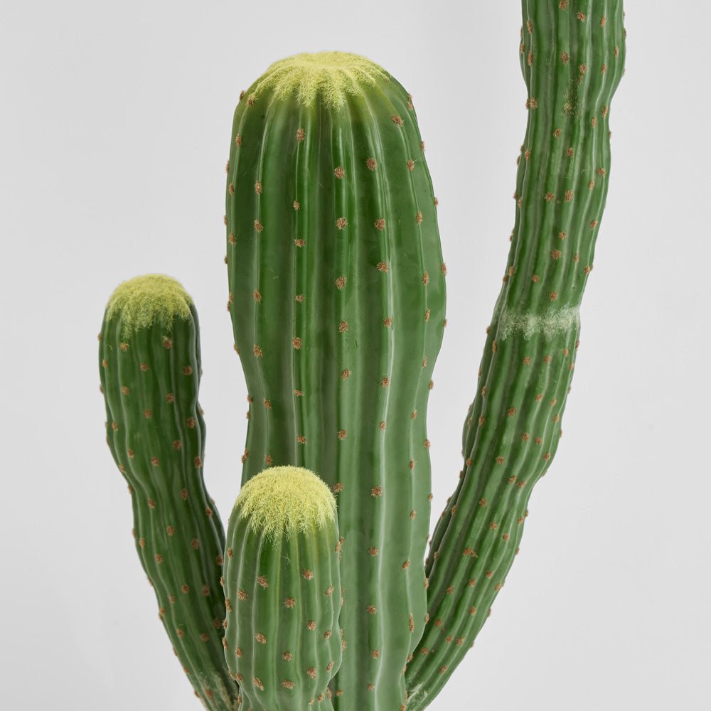Cactus Saguaro Large