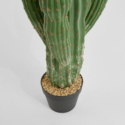 Cactus Saguaro Large