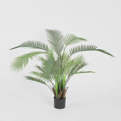 Palm Tree In Black Pot 130cm