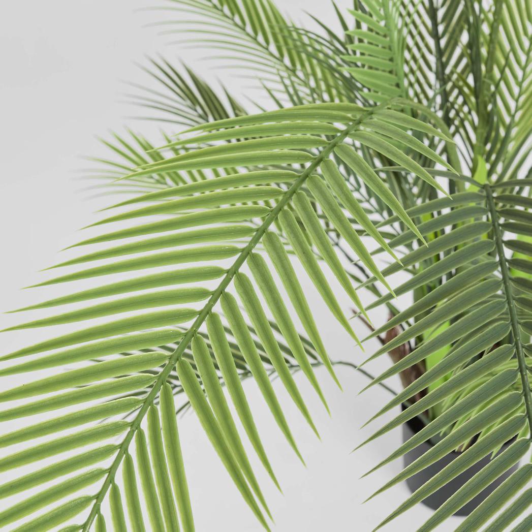 Palm Tree In Black Pot 130cm