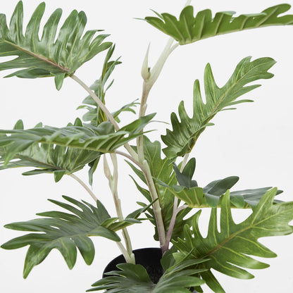 Real Touch Philo In Black Pot 50cm