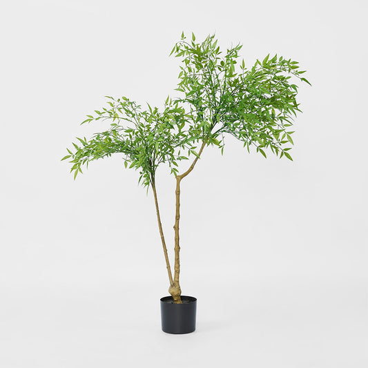 Nandina Tree 120 CM