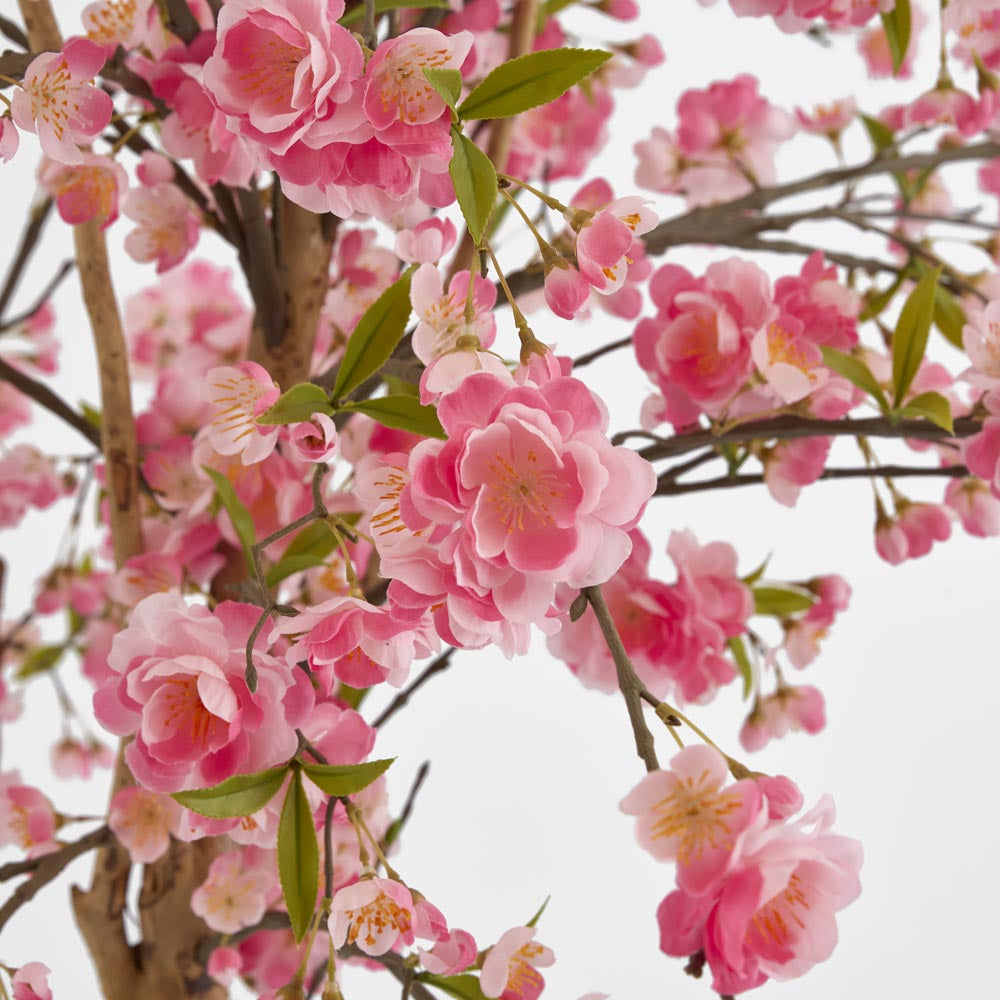 Cherry Blossoms Tree 150cm
