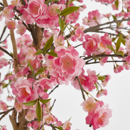 Cherry Blossoms Tree 150cm